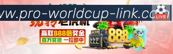 战术分析频道